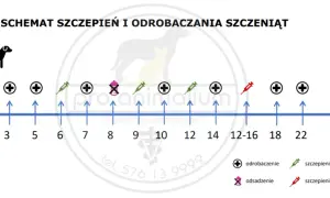 Na co szczepić szczeniaka? Twój przewodnik krok po kroku