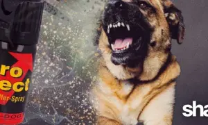 Gaz pieprzowy na psy: Legalna obrona? Wybierz bezpiecznie i humanitarnie