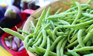 Świeża fasolka szparagowa w koszyku, idealna na lekki posiłek. Niska zawartość kcal sprawia, że to zdrowy wybór.