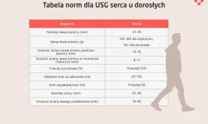 Tabela norm dla USG serca u dorosłych, prezentująca najdokładniejsze badanie serca. Wskazuje wymiary, masę i grubości ścian serca, frakcję wyrzutową, objętość krwi oraz rozmiar aorty.