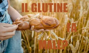 Mani che tengono un pane intrecciato in un campo di grano. Il testo dice "IL GLUTINE FA MALE?". L'orzo contiene glutine.