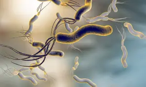 Batteri Helicobacter pylori, causa di disturbi gastrici e ulcere. I sintomi possono includere bruciore di stomaco e dolore addominale.