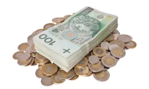Stos banknotów 100 zł i monety. Obraz symbolizuje finanse, bogactwo, a także może nawiązywać do jawnego rejestru dłużników, gdzie widnieją zobowiązania finansowe.