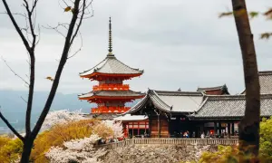 Piękna pagoda w stylu kuban w Kioto, otoczona kwitnącymi wiśniami.