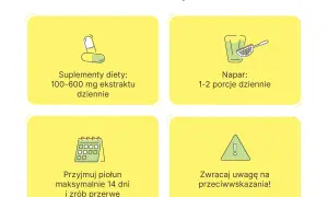 Piołun właściwości: dawkowanie suplementów (100-600 mg), naparu (1-2 porcje), czas stosowania (max 14 dni) i przeciwwskazania.