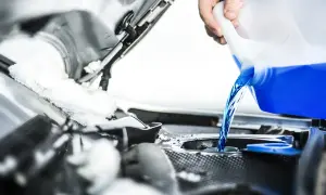 Versare liquido blu brillante nel serbatoio, notando la differenza colore liquido radiatore. C'è neve sul cofano.