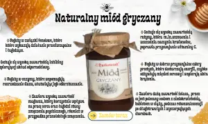 Naturalny miód gryczany – jaki miód najzdrowszy? Bogaty w fenole, rutynę, enzymy i magnez, wspiera odporność i krążenie.