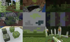 Blok mchu Minecraft w różnych odsłonach: na drzewach, kamieniach, w jaskiniach i pod wodą.
