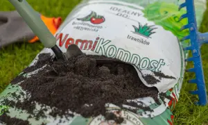 Łopatka nabiera żyzny wermikompost z worka, gotowa do użycia w ogrodzie.