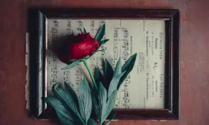 Czerwona róża na starych nutach, przypominająca melancholijną ballada.