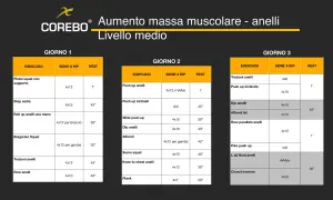 Scheda massa muscolare: allenamento per anelli su 3 giorni, con esercizi come pistol squat, push up e trazioni. Livello medio.