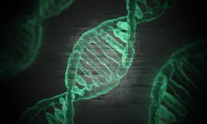 Zielona, świecąca struktura DNA na tle ciemnej ceglanej ściany. Może symbolizować badania nad zespołem Patau.