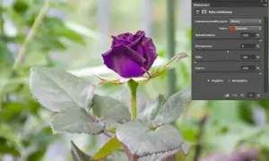 Jak zmienić kolor zdjęcia w Photoshopie - proste metody krok po kroku