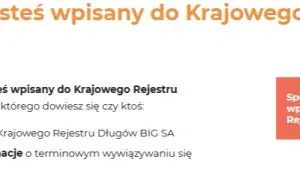 Jak długo jest się w KRD? Sprawdź, co musisz wiedzieć o długach