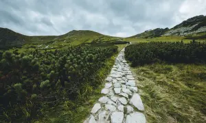 Kamienna ścieżka wije się pośród kosodrzewin, prowadząc na Kasprowy Wierch. Trasa w Tatrach pod pochmurnym niebem.