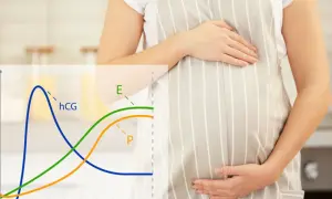 Wykres hormonów ciążowych (hCG, E, P) na tle brzucha ciężarnej. Kiedy zrobić badanie progesteronu? Sprawdź krzywe.