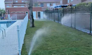 Aspersores riegan césped recién plantado junto a una piscina. Es el momento ideal para saber cuándo es mejor regar el césped y asegurar su crecimiento.