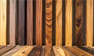 Muestras de madera de distintos tonos y vetas, ideales para la dureza de maderas clasificación.