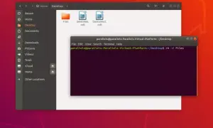 Terminal Linux affichant la commande pour supprimer des fichiers. L'utilisateur est sur le bureau et s'apprête à supprimer des éléments.