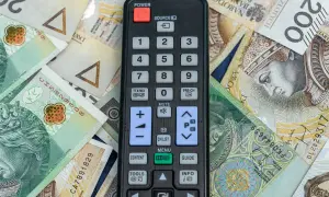 Pilot do telewizora leżący na polskich banknotach.