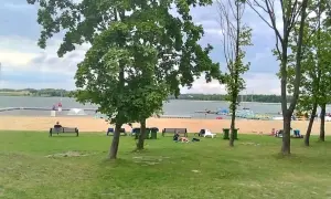 Zielone **łąki** nad **jeziorem** w **Pszczynie**, z piaszczystą plażą i drzewami.