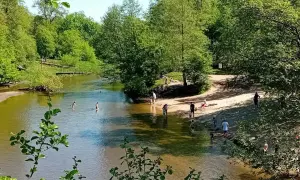 Słoneczny dzień nad Świdrem. Ludzie kąpią się i odpoczywają na piaszczystej plaży wśród zieleni.