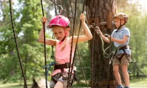 Park linowy dla dzieci: Jak wybrać bezpieczną przygodę i rozwój?