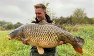 Glücklicher Angler hält einen riesigen Karpfen, gefangen beim Angeln an der Weser.