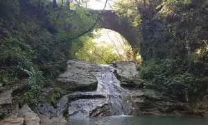 Cascate brescia: un piccolo salto d'acqua scende tra rocce e vegetazione lussureggiante, sotto un antico ponte ad arco.