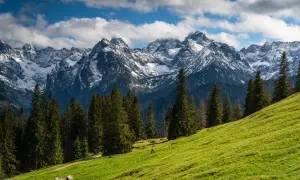 Zielony stok z widokiem na ośnieżone szczyty Tatr. Idealne miejsce na wycieczki w Tatry, gdzie można podziwiać majestatyczne krajobrazy.