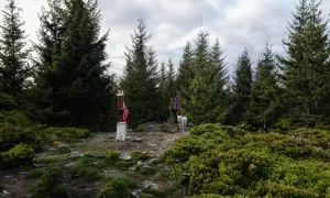 Osoba z psami na szczycie góry, gdzie znajduje się znak turystyczny przypominający kowadło.