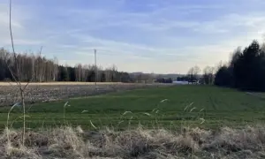 Czy ceny działek spadną? Co wpłynie na ich wartość w przyszłości?
