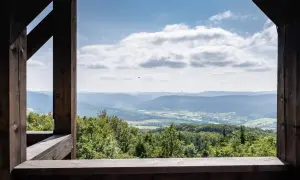 Widok z wieży widokowej na górę Cergową. Rozległa panorama Beskidu Niskiego, zielone lasy i pola, błękitne niebo z chmurami.