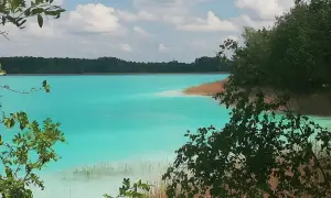 Turkusowe jezioro w Koninie, otoczone trzcinami i zielenią, z błękitnym niebem i białymi chmurami.