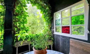 Zielona pergola porośnięta pnączami, z doniczką z rośliną na stole. W oknie kolorowe szyby, jakby przez pryzmat widok na ogród, gdzie kwitnie fasola ozdobna.
