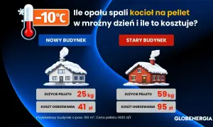 Ile kosztuje tona pelletu? Porównanie zużycia i kosztów ogrzewania nowego i starego budynku w mroźny dzień.