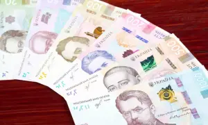 Ukraińska waluta, hrywny, ułożone wachlarzowo na drewnianym tle. Widoczne nominały 20, 50, 100, 200, 500 i 1000.