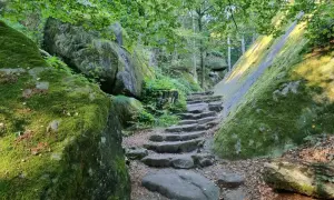 Moosbewachsene Felsen säumen einen steinernen Treppenweg, der zu einer Lilienstein Wanderung einlädt.