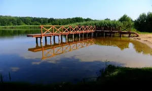Drewniane molo odbija się w spokojnej tafli jeziora wojnowskiego. W tle zieleń drzew i trzcin.