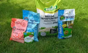 Nawozy do trawników: mocznik, saletra amonowa, kreda granulowana, żelazo antymech. Wszystko, by mieć staranne trawniki.
