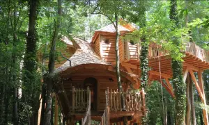 Magnifiques cabanes dans les arbres en Île-de-France, nichées au cœur d'une forêt luxuriante. Un rêve d'enfant devenu réalité.
