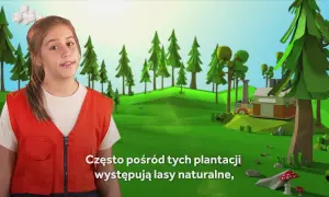 Jak powstaje papier film edukacyjny – zrozumienie dla dzieci