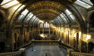 Wspaniała architektura Muzeum Historii Naturalnej w Londynie. Kamienne łuki i sklepienia rozświetlone słońcem tworzą niesamowity klimat.