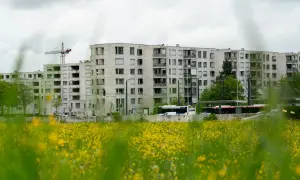 Ile zarabia deweloper? Zaskakujące fakty o wynagrodzeniach w branży