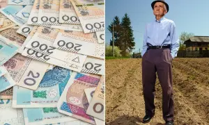 ZUS i KRUS: Rodzaje rent Czy wiesz, które wsparcie jest dla Ciebie?