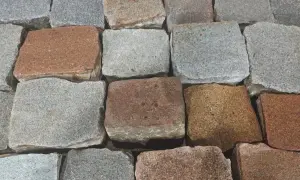 Zbliżenie na brukowiec w różnych odcieniach szarości i brązu.