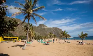 Plaża z palmami i górami w tle. Idealne miejsce na wakacje, zastanawiasz się, ile się leci na Teneryfę?