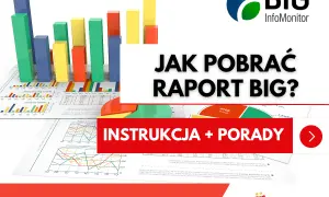 Kolorowe wykresy słupkowe i kołowe na tle dokumentów. Tekst: "JAK POBRAĆ RAPORT BIG? INSTRUKCJA + PORADY".