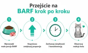 Przejście na dietę BARF dla kota: zacznij od małych porcji, stopniowo zwiększaj, bądź cierpliwy i obserwuj reakcje pupila.