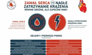 Zawał serca a nagłe zatrzymanie krążenia: różnice i pierwsza pomoc. W przypadku NZK kluczowe jest szybkie działanie.